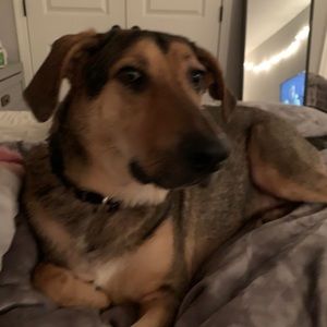 Meet your Posher, Karen